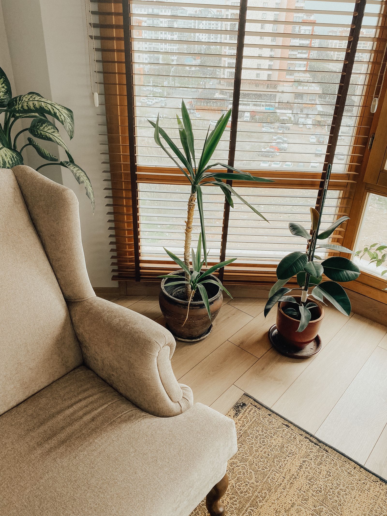 A calm armchair beside houseplants in warm light